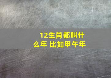 12生肖都叫什么年 比如甲午年